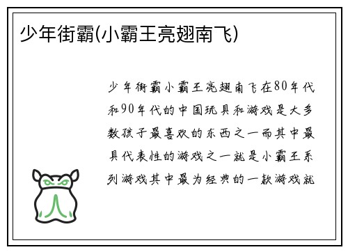 少年街霸(小霸王亮翅南飞)